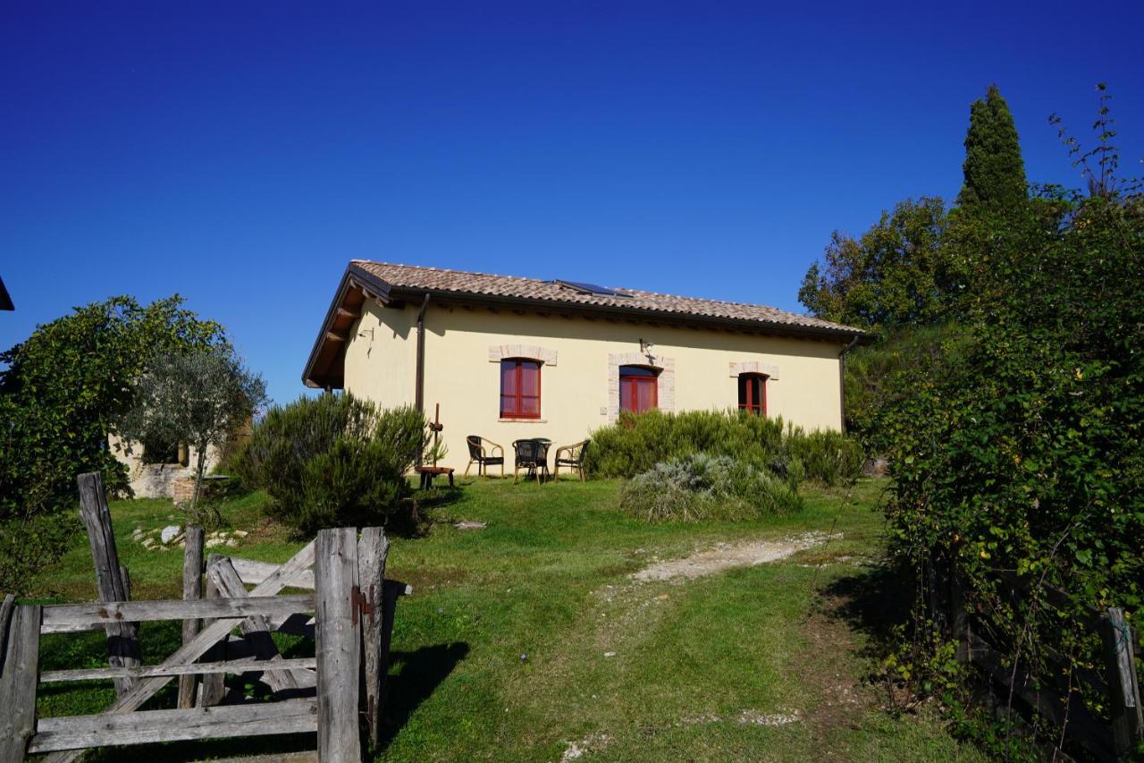 Agriturismo Il Sarale - Umbria Città di Castello Kültér fotó