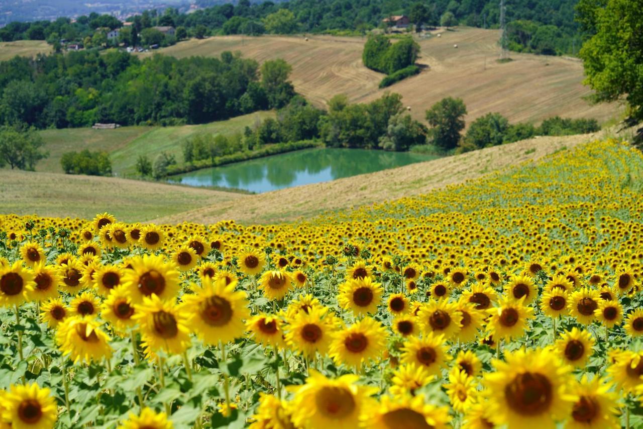 Agriturismo Il Sarale - Umbria Città di Castello Kültér fotó